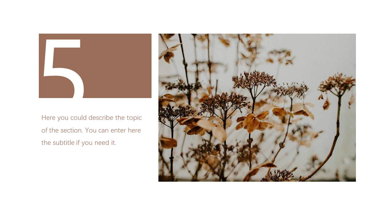 旅游画册 (77).pptx